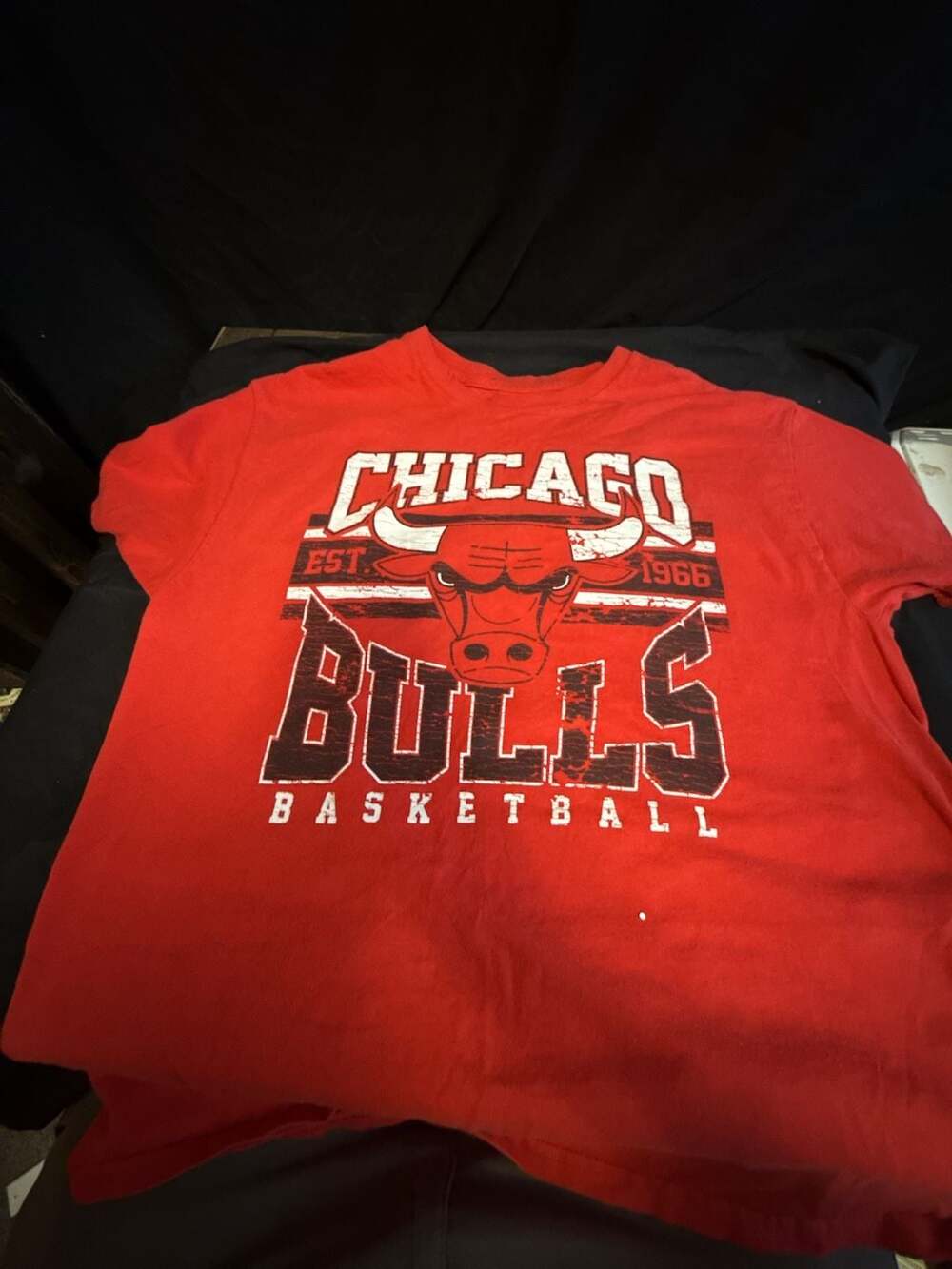 Chicago Bulls Vintage Graphic Tee - Red - Size XL